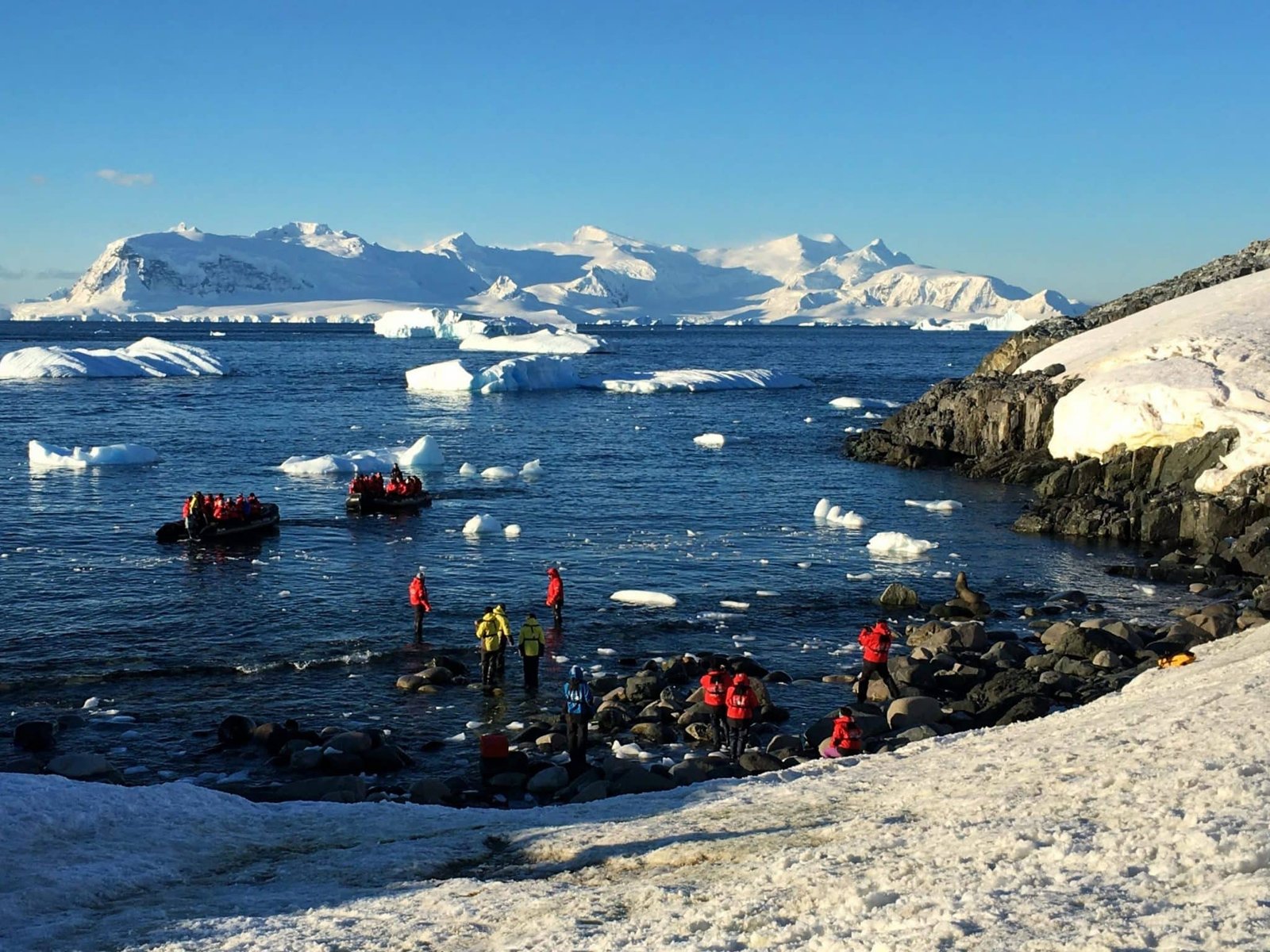 Icebergs, penguins and champagne: is this the perfect cruise? Read all about our Antarctica cruise on board Le Lyrial by Ponant.