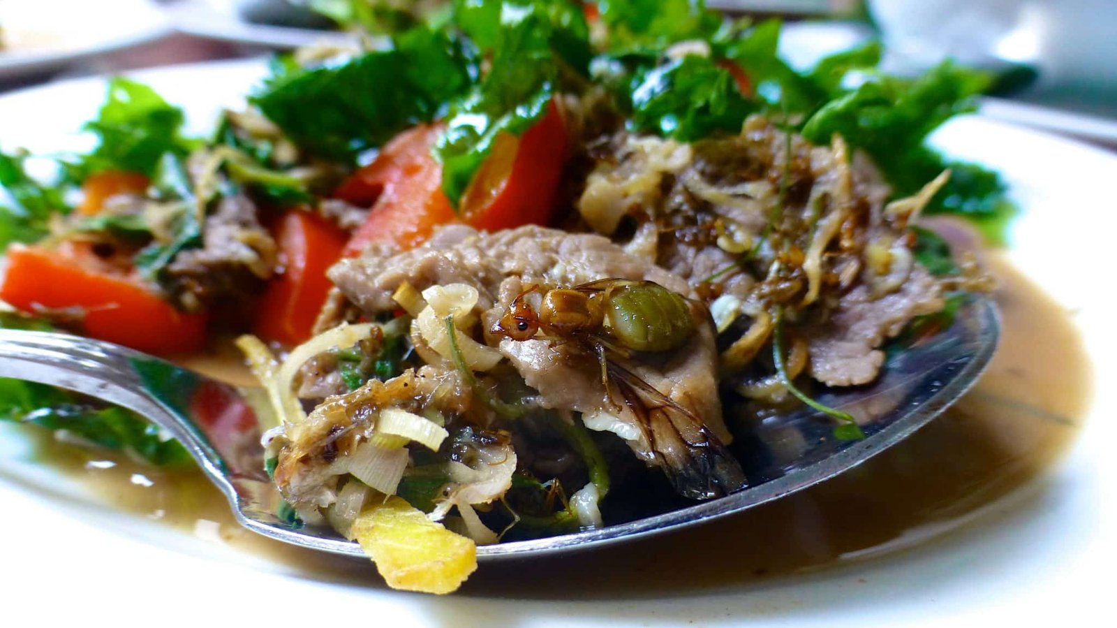 Eating deep fried tarantula in Cambodia would you try it? Luc & June