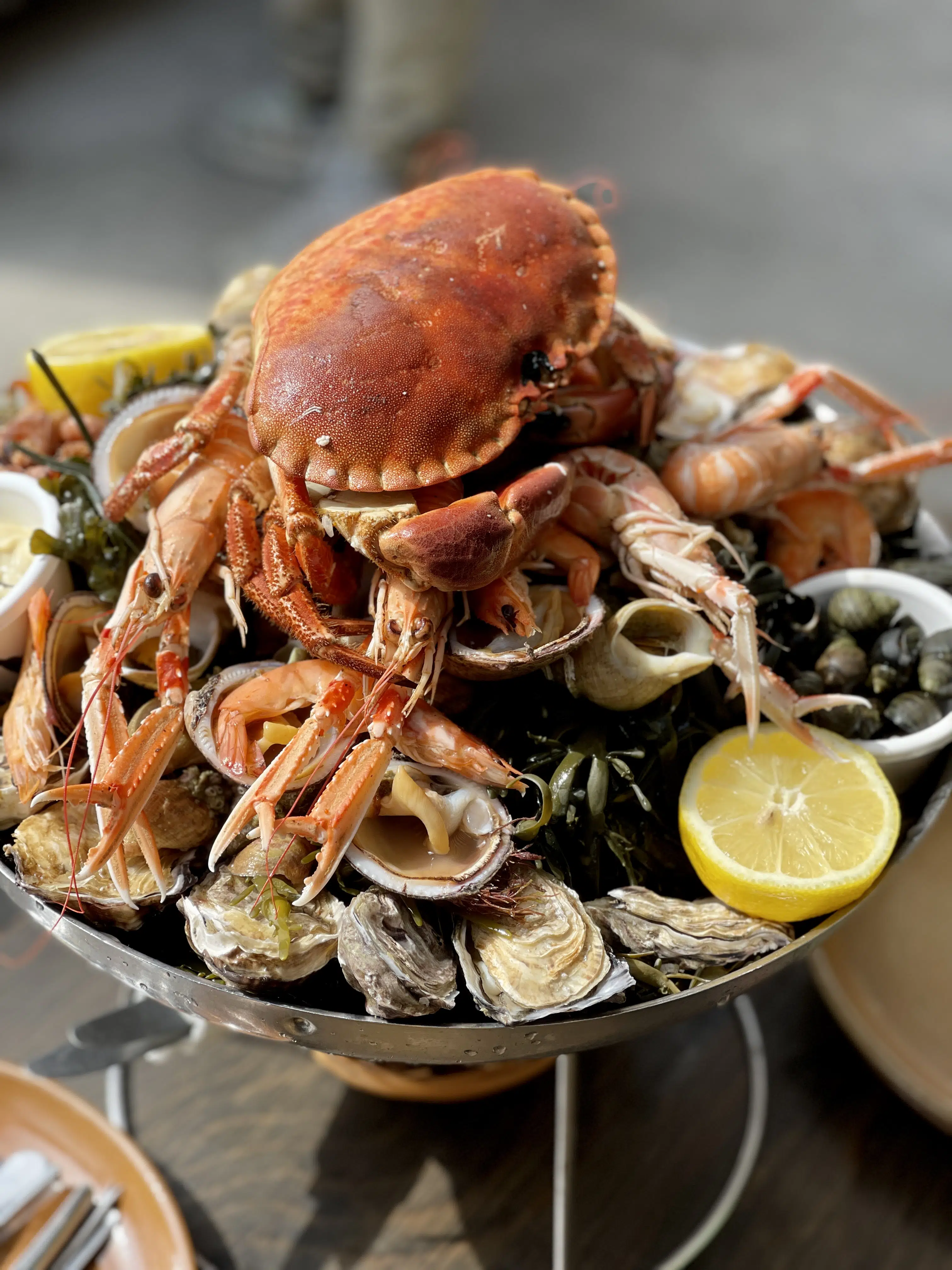 Fruits de mer: things you didn't know about this fancy French seafood