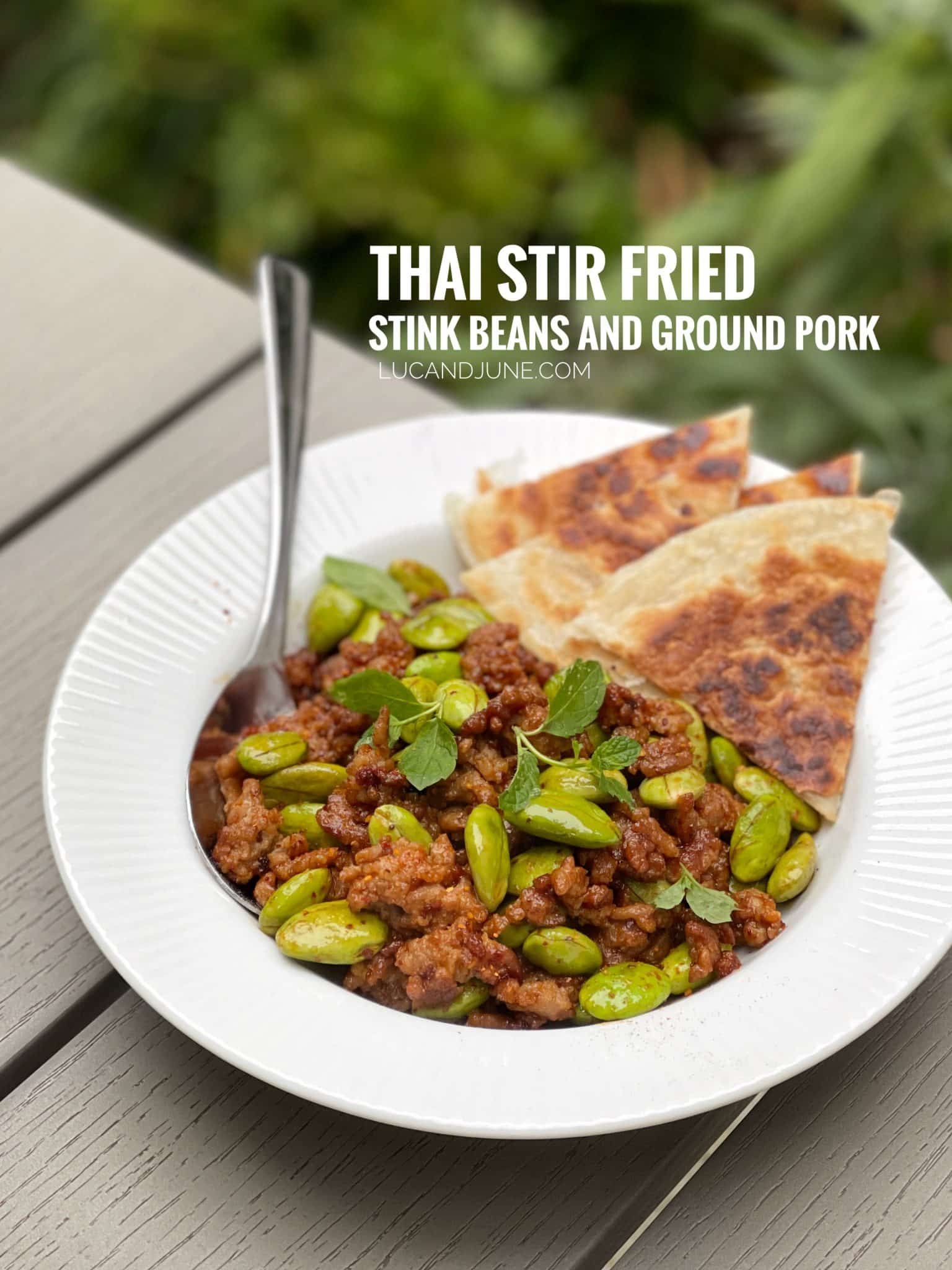 The name says it already: these stink beans are so strong and so delicious... Try our Thai style stink bean stir fry with ground pork!