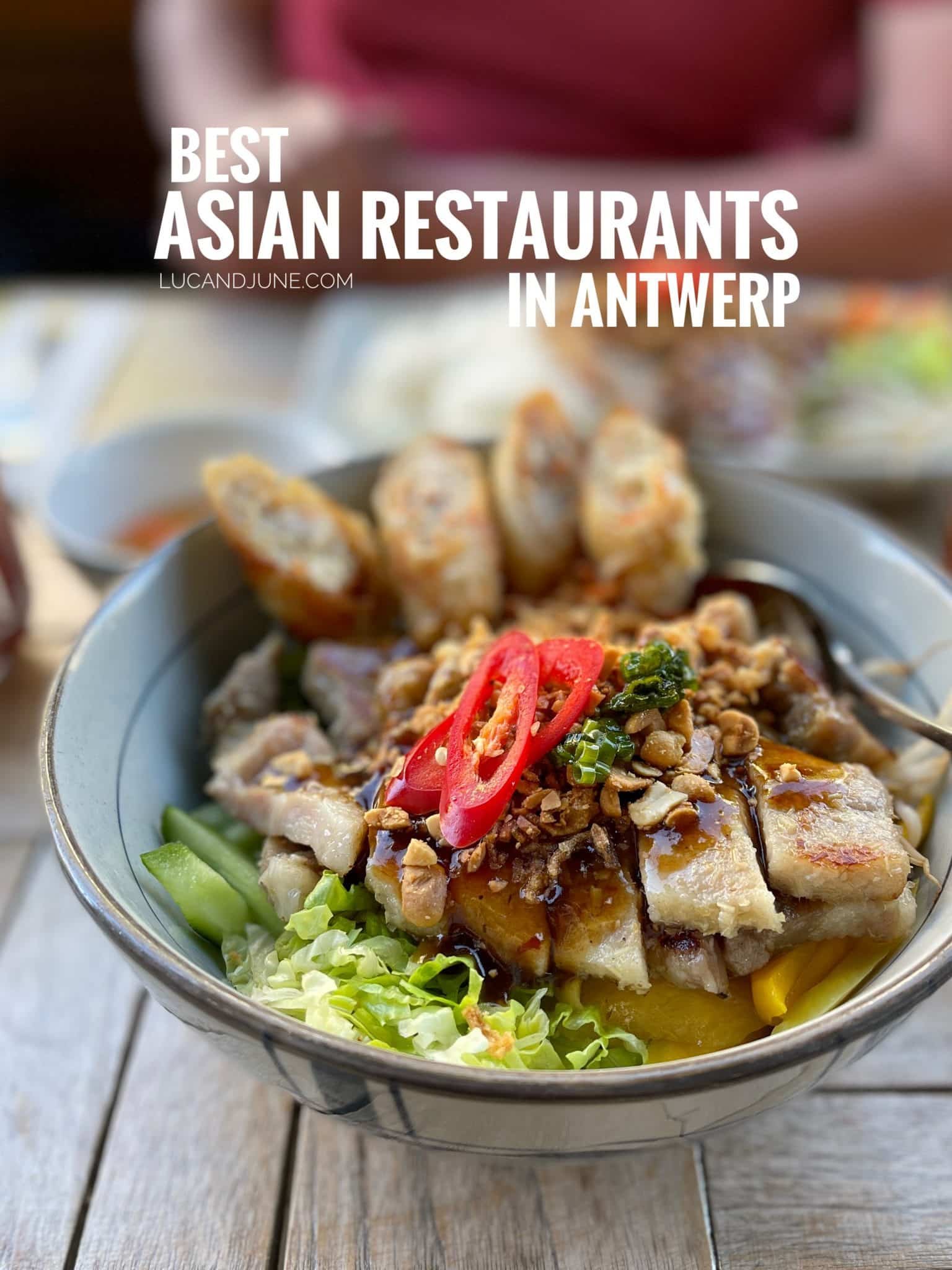 Antwerp's restaurant scene is buzzing. So where to go if you want to enjoy a good Asian meal? Here are our favorite Asian restaurants in Antwerp!