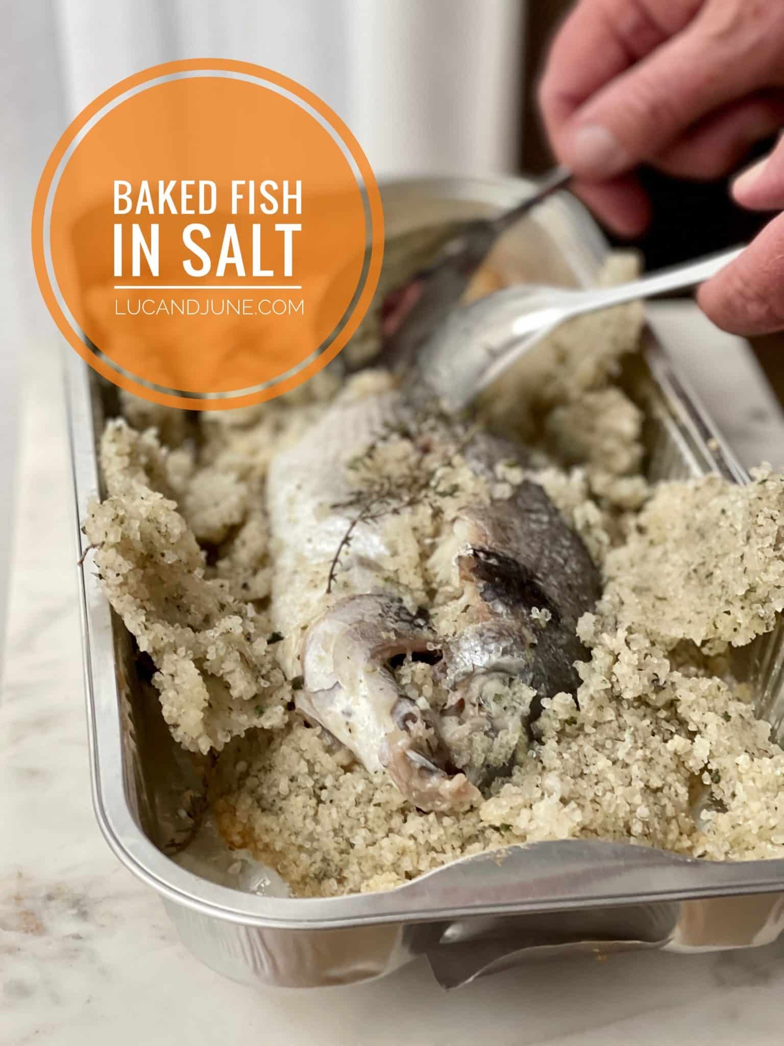 Baked Fish In Salt