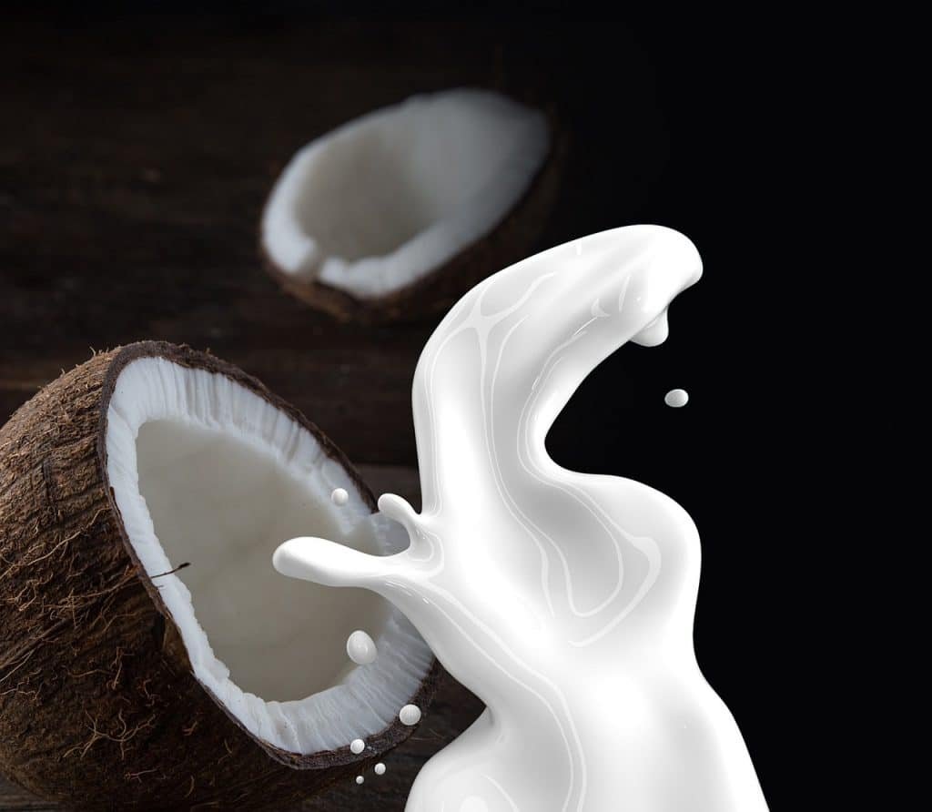 Which one do you use the most? Let's compare coconut milk vs coconut cream and find our what you can use them for in the kitchen!