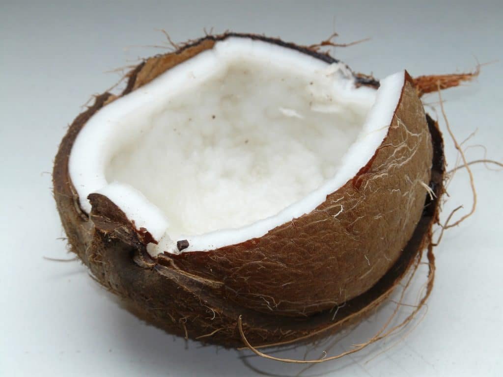Which one do you use the most? Let's compare coconut milk vs coconut cream and find our what you can use them for in the kitchen!