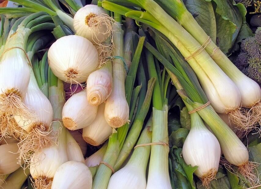 Onions For Cooking