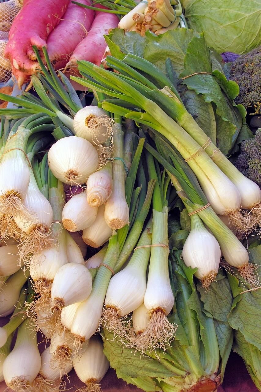 Onions For Cooking