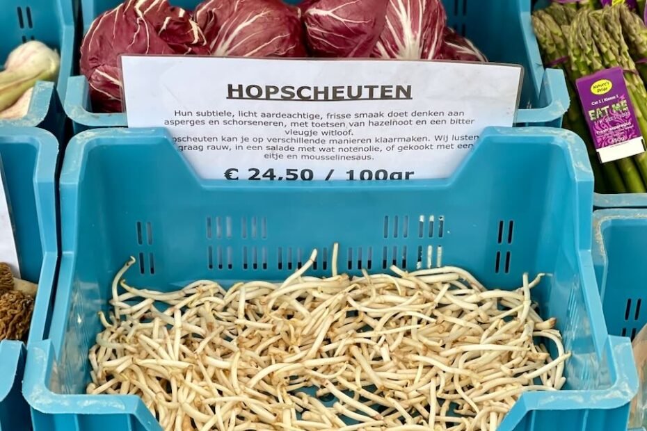 Hopscheuten