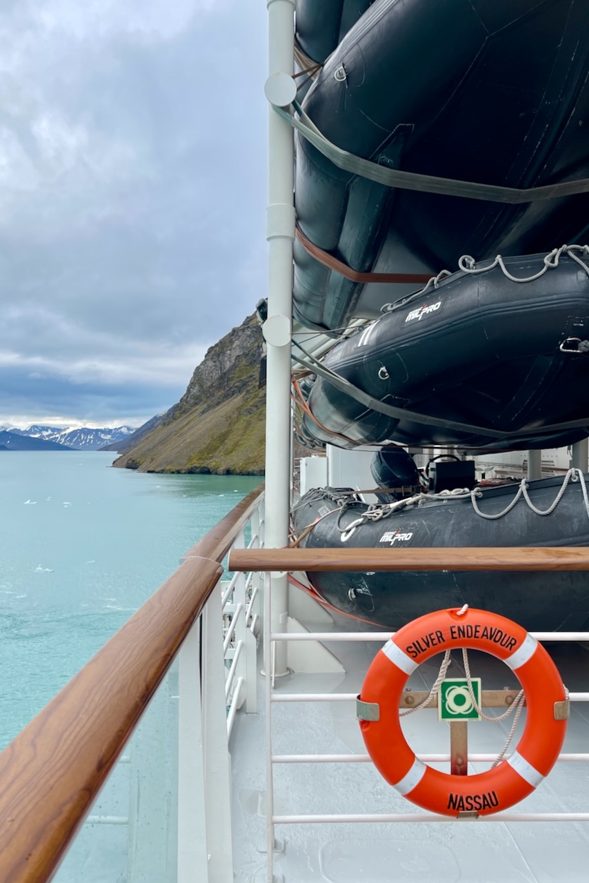 Silver Endeavour Review